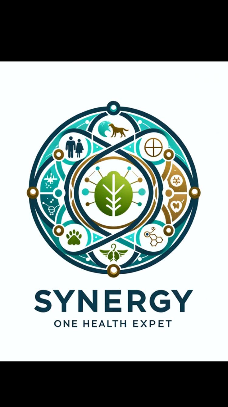 SYNERGY ONE HEALTH EXPERT