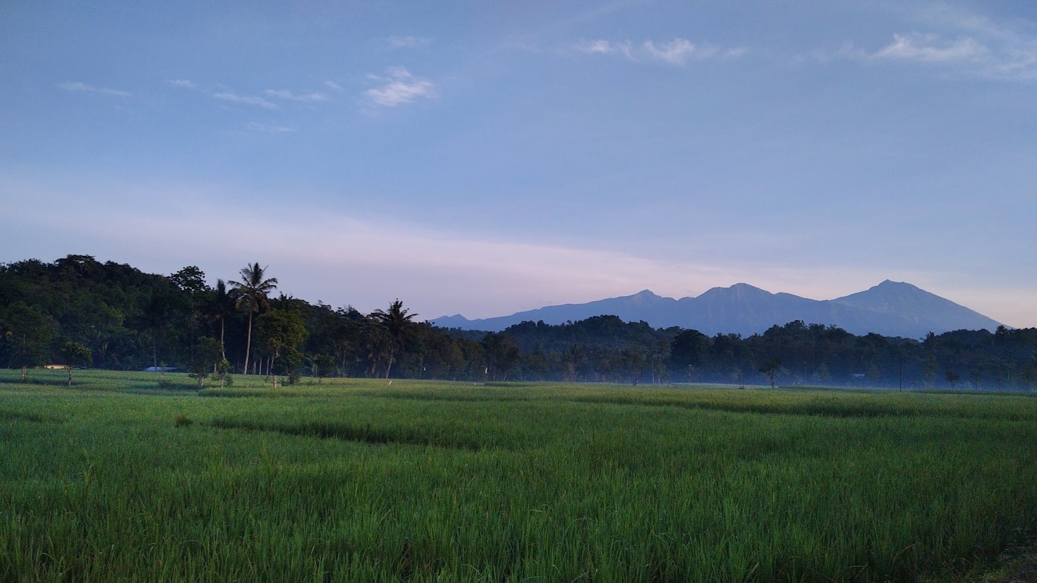 The One Health Approach: Transforming Rural Health